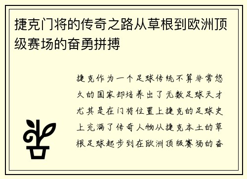 捷克门将的传奇之路从草根到欧洲顶级赛场的奋勇拼搏