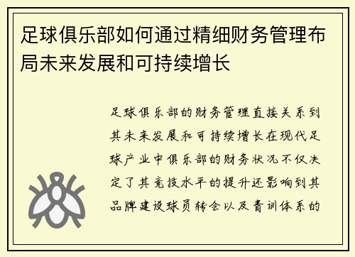 足球俱乐部如何通过精细财务管理布局未来发展和可持续增长